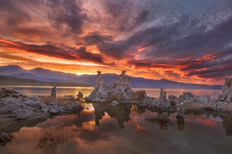 Kalksäulen im Mono Lake