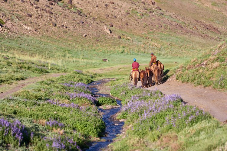 Die Mongolei lässt sich am besten reitend erkunden