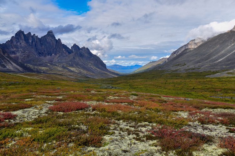 Beeindruckende Landschaft am Dempster Highway