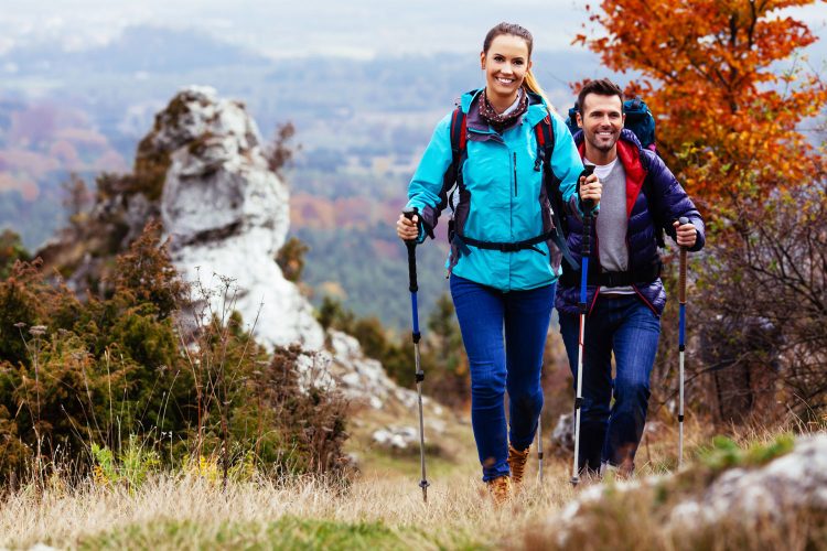 Stöckte bieten Halt auf herbstnassen Wegen. 