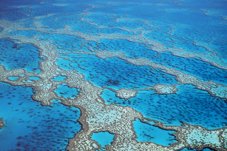 Great Barrier Reef