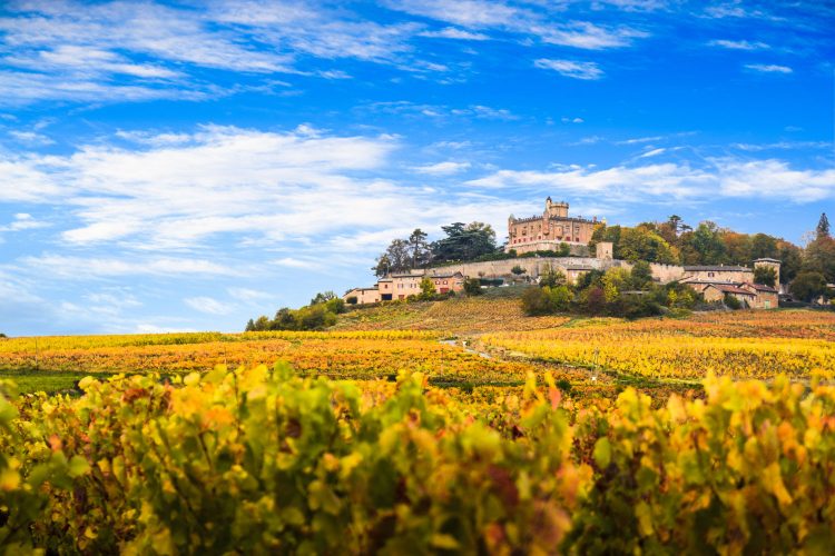 Weinbaugebiet Burgund