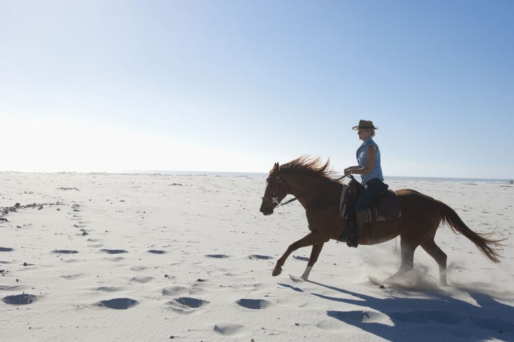 Ausritt am Strand