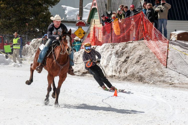 Nur für Adrenalinjunkies: Skijöring