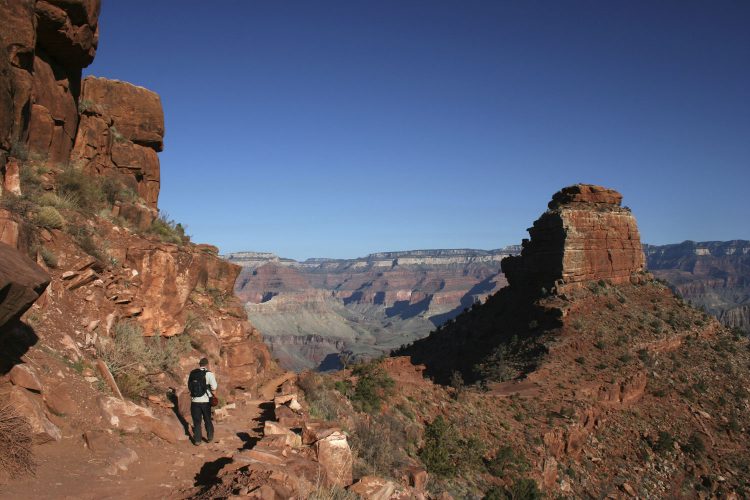 South Rim Trail, USA