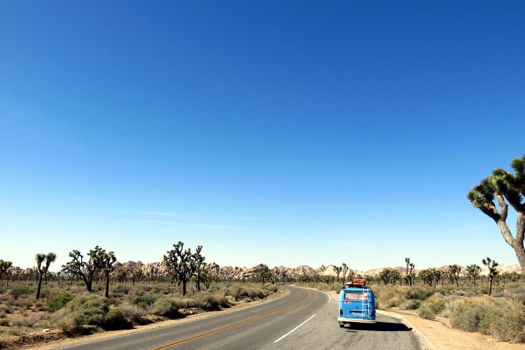 Joshua Tree National Park